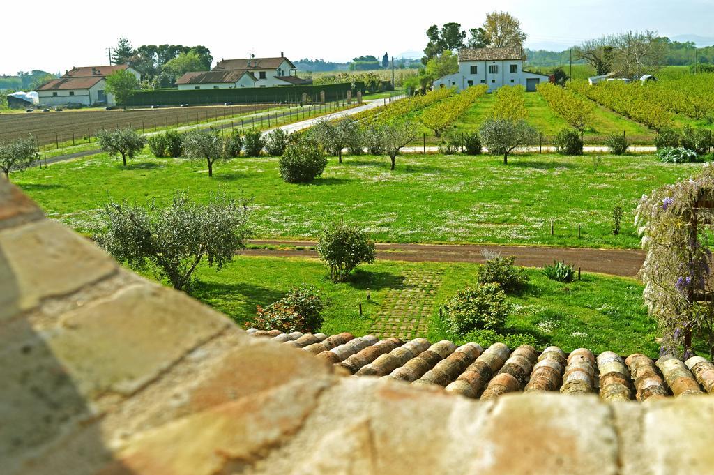 Bed and Breakfast La Fornasaccia à Cesena Extérieur photo