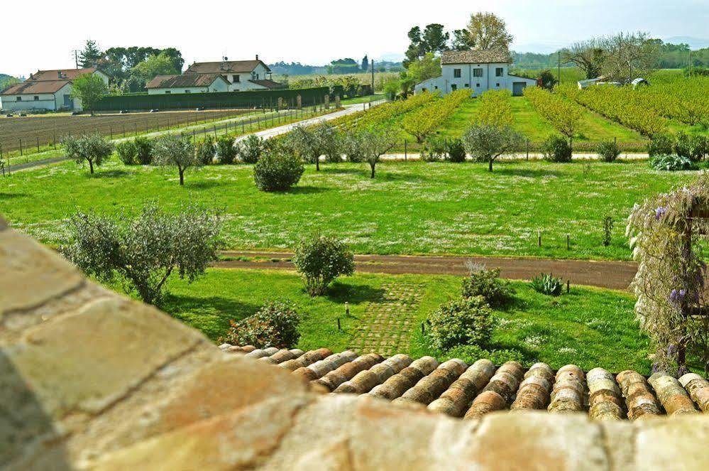 Bed and Breakfast La Fornasaccia à Cesena Extérieur photo