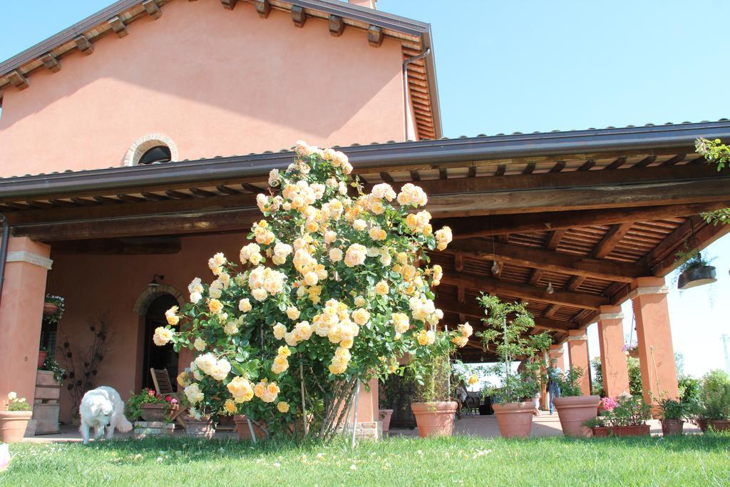 Bed and Breakfast La Fornasaccia à Cesena Extérieur photo